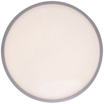 Rabalux - LED taklampa LED/18W/230V IP44 4000K silver diameter 28 cm