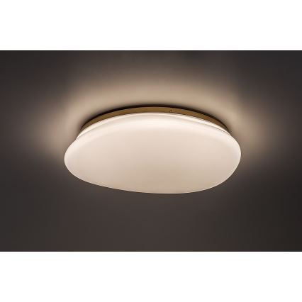 Rabalux - LED taklampa för badrum LED/24W/230V IP44 Ø 41 cm