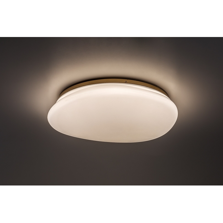 Rabalux - LED taklampa för badrum LED/24W/230V IP44 Ø 41 cm