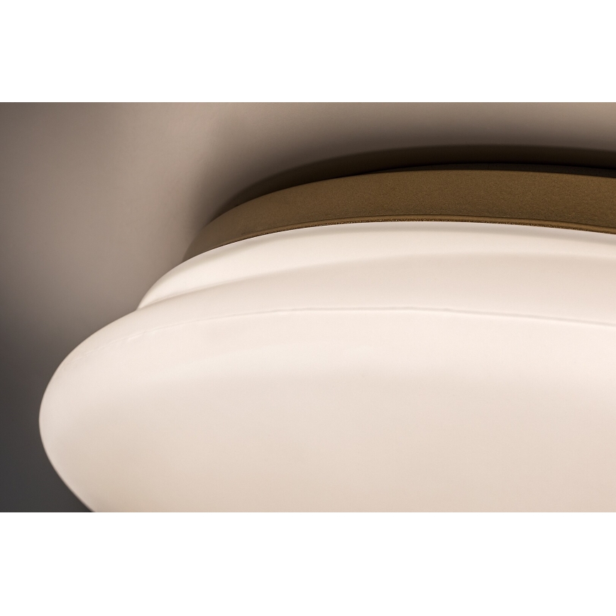 Rabalux - LED taklampa för badrum LED/24W/230V IP44 Ø 41 cm