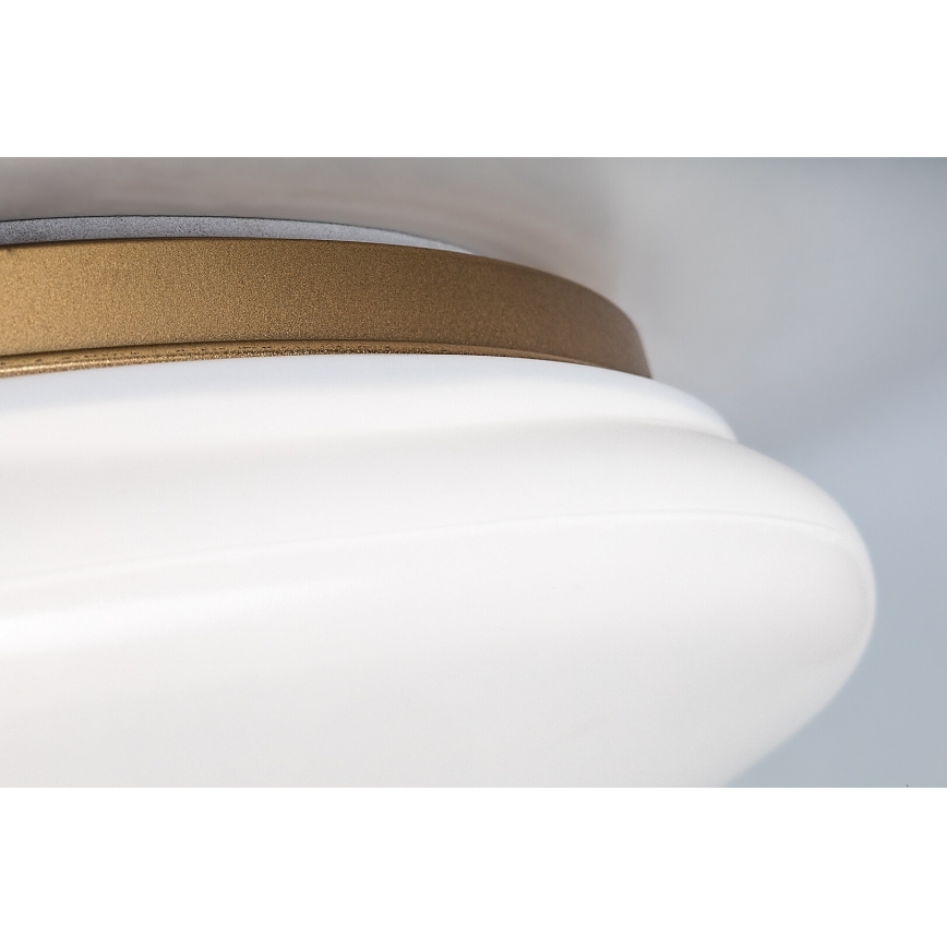 Rabalux - LED taklampa för badrum LED/24W/230V IP44 Ø 41 cm