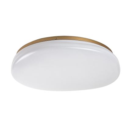 Rabalux - LED taklampa för badrum LED/24W/230V IP44 Ø 41 cm