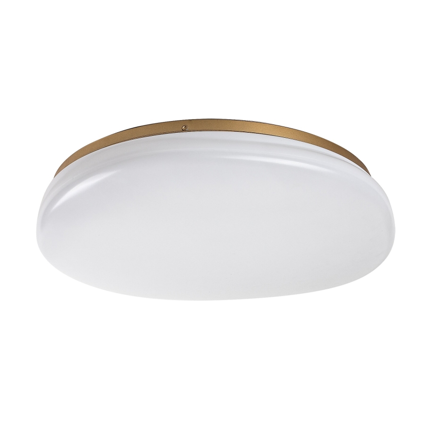 Rabalux - LED taklampa för badrum LED/24W/230V IP44 Ø 41 cm