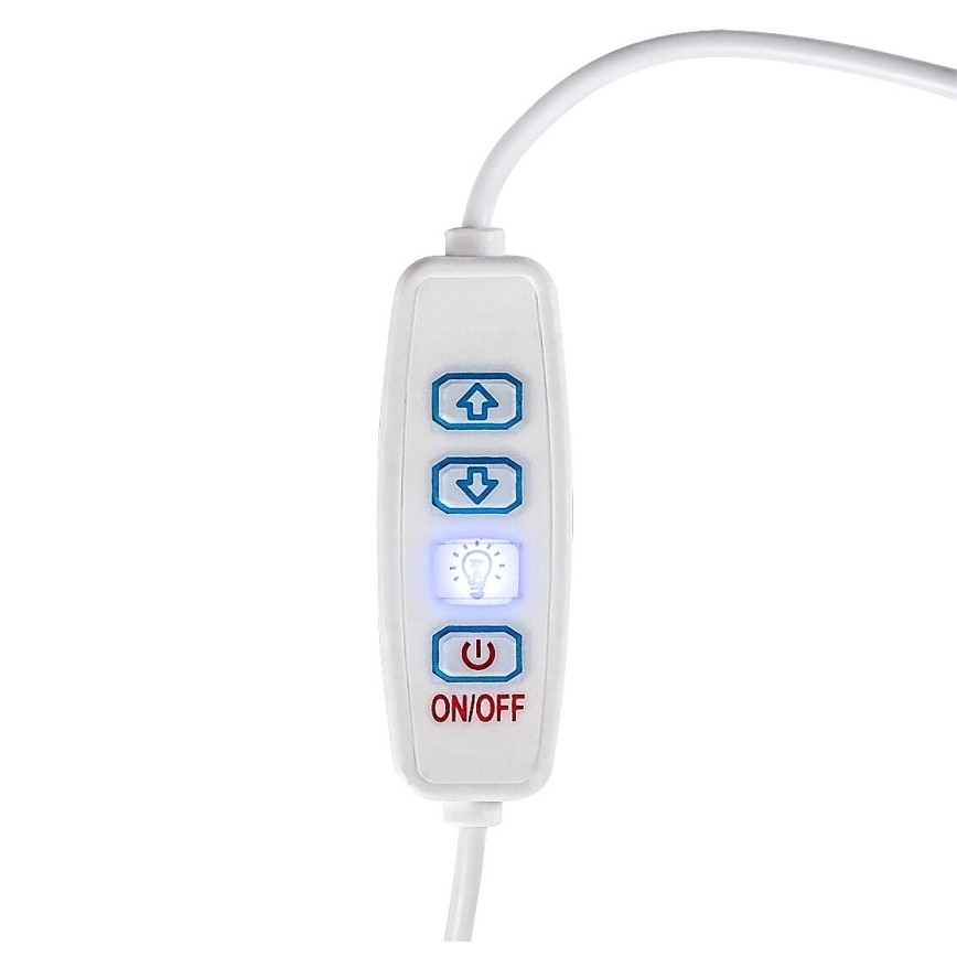 Rabalux - LED Dimbar bordslampa LED/1,2W/5V 3000K bok