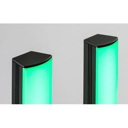 Rabalux - KIT 2x LED RGB Ljusreglerad bordslampa PACO LED/5W/5V + fjärrkontroll