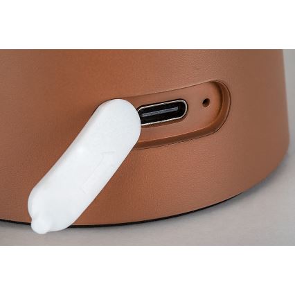 Rabalux - Dimmbar beröringsstyrd uppladdningsbar utomhuslampa LED/1,5W/5V IP44 1200 mAh USB brun