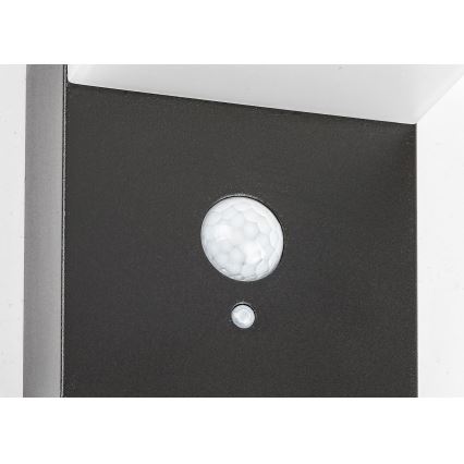 Rabalux - LED solcellsbelysning med en sensor LED/6W/3,7V IP44