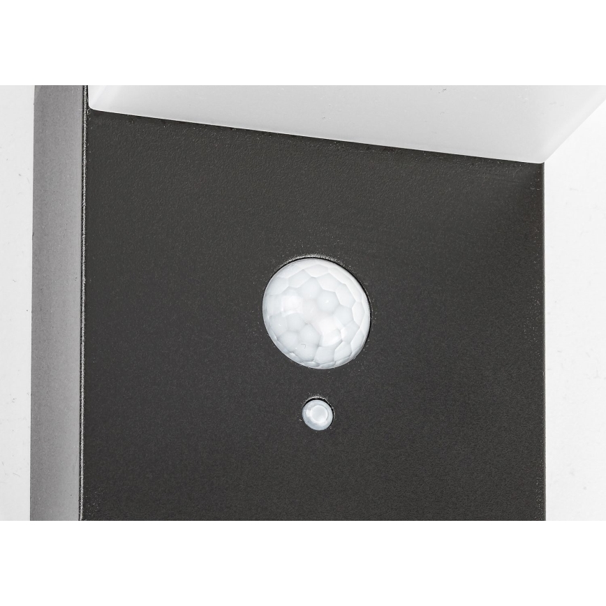 Rabalux - LED solcellsbelysning med en sensor LED/6W/3,7V IP44