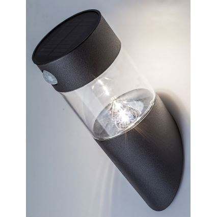 Rabalux - LED solcellsbelysning med en sensor LED/1,5W/3,7V IP44