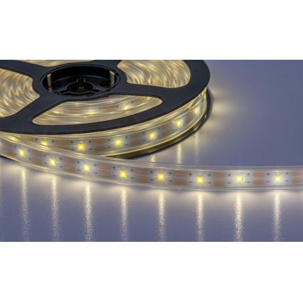 Rabalux - LED Solar list LED/0,26W/3,2V 4,9m IP44