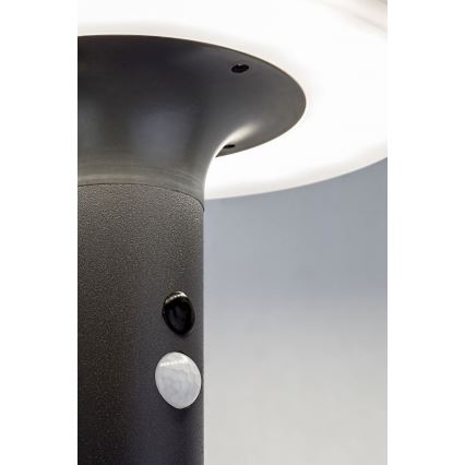 Rabalux - LED Solcellsbelysning med en sensor LED/10W/3,7V IP44 2500 mAh