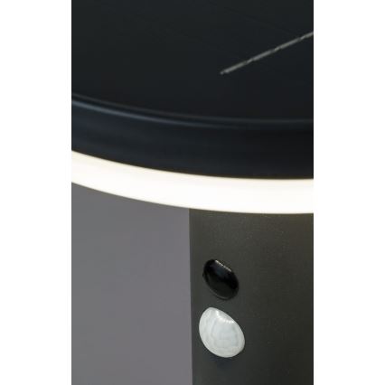 Rabalux - LED Solcellsbelysning med en sensor LED/10W/3,7V IP44 2500 mAh