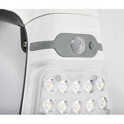 Rabalux - LED Ljusreglerad solar belysning med en sensor LED/4W/3,7V IP44