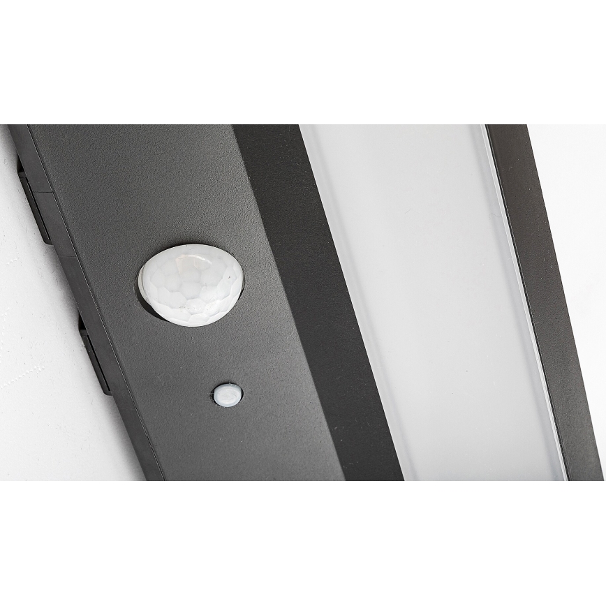 Rabalux - LED solcellsbelysning med en sensor LED/6W/3,7V IP44