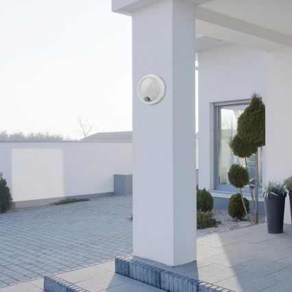 Rabalux - LED Utomhus vägglampa med sensor LED/15W/230V IP54