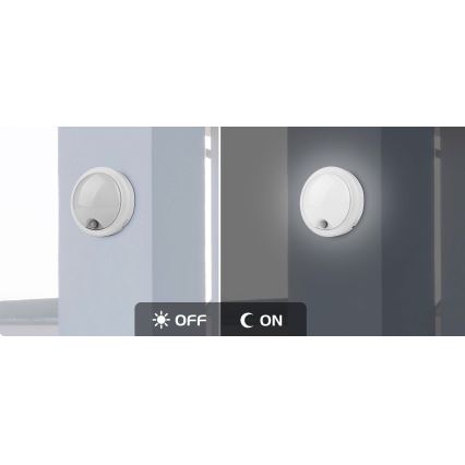 Rabalux - LED Utomhus vägglampa med sensor LED/15W/230V IP54