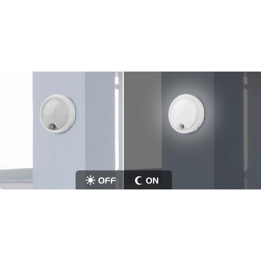 Rabalux - LED Utomhus vägglampa med sensor LED/15W/230V IP54
