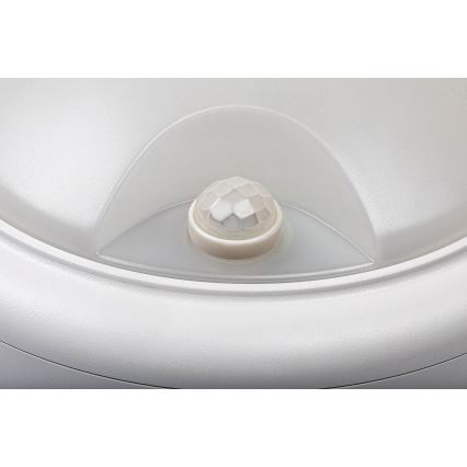 Rabalux - LED Utomhus vägglampa med sensor LED/15W/230V IP54