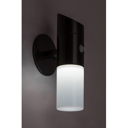Rabalux - LED RGB Solcellsvägglampa med sensor LED/1W/3,7V IP44 svart