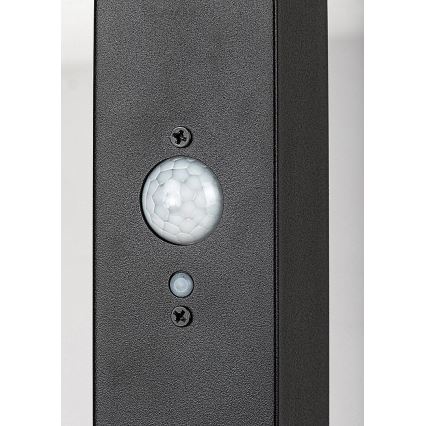 Rabalux - LED solcellslampa med sensor LED/4W/3,7V IP44 svart