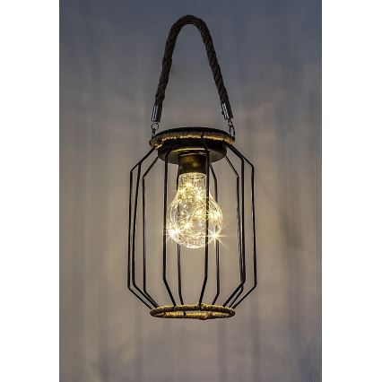 Rabalux - LED solcellsbelysning LED/0,2W/1,2V IP44