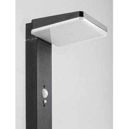 Rabalux - LED Ljusreglerad solcell utomhus lampa med sensor LED/4,4W/3,7V IP54 antracit
