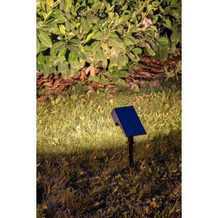 Rabalux - LED Solcellslampa LED/0,5W/3,7V IP65 svart 3000 mAh