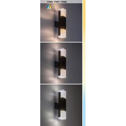 Rabalux - LED vägglampa för utomhusbruk LED/12W/230V 2700/4000/6000K IP54