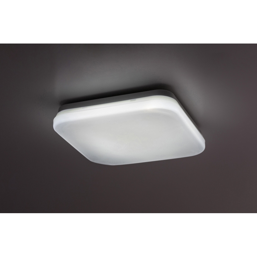Rabalux - LED taklampa för badrum LED/12W/230V 3000/4000/6000K IP44