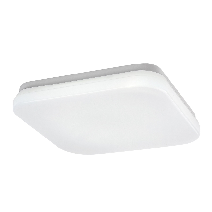 Rabalux - LED taklampa för badrum LED/12W/230V 3000/4000/6000K IP44