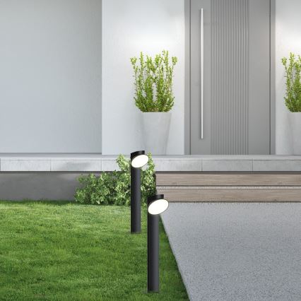 Rabalux - LED-lampa för utomhusbruk LED/12W/230V IP54