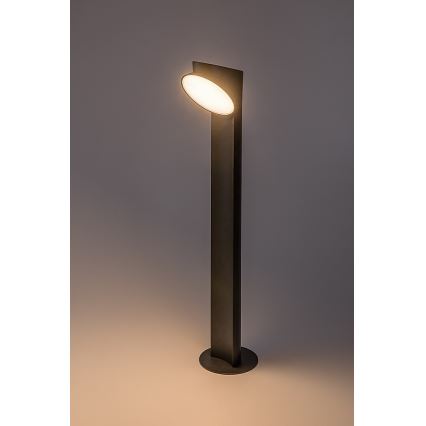 Rabalux - LED-lampa för utomhusbruk LED/12W/230V IP54