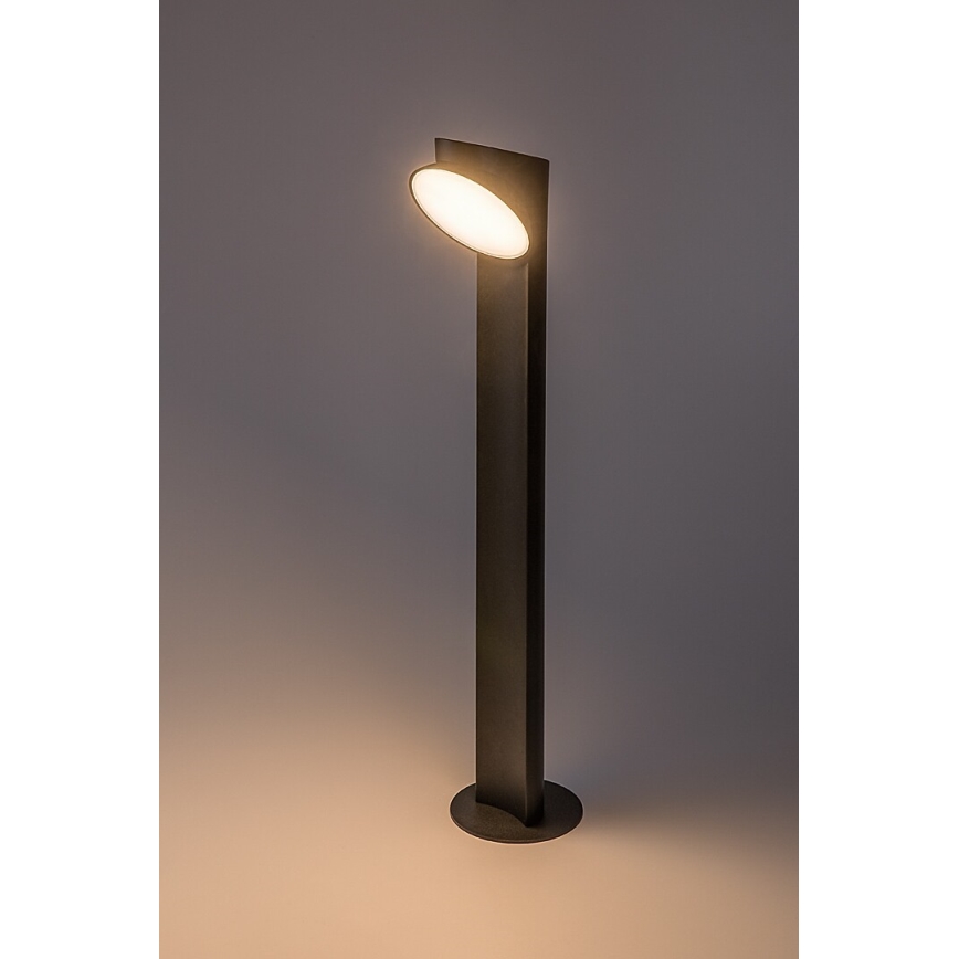 Rabalux - LED-lampa för utomhusbruk LED/12W/230V IP54