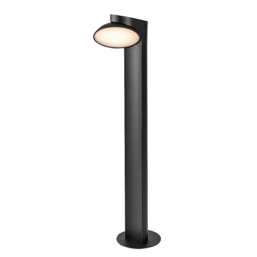 Rabalux - LED-lampa för utomhusbruk LED/12W/230V IP54