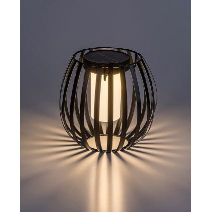 Rabalux - LED Solcellsbelysning LED/1W/1,2V 300mAh IP44
