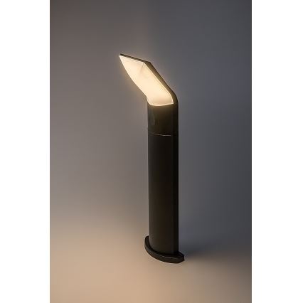 Rabalux - LED-lampa för utomhusbruk LED/10W/230V IP54