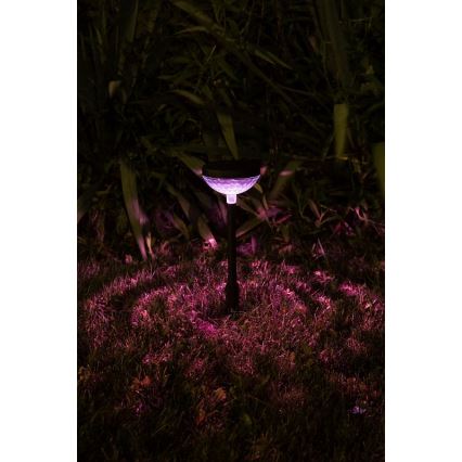 Rabalux - LED RGB Solcellslampa LED/0,1W/1,2V 600mAh IP44