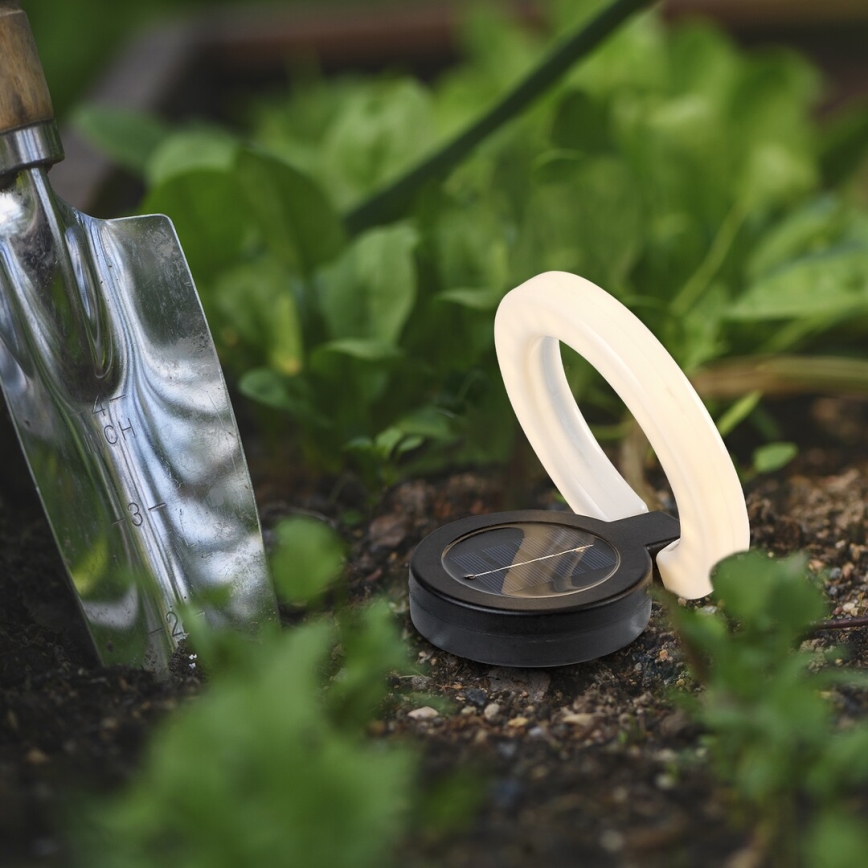 Rabalux - LED Solcellslampa LED/0,05W/1,2V IP44 300 mAh