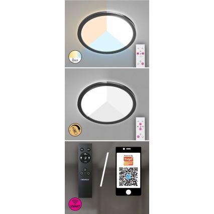 Rabalux - LED Dimbar utomhusbelysning LED/15W/230V Wi-Fi Tuya 2700-6500K IP44 + fjärrkontroll