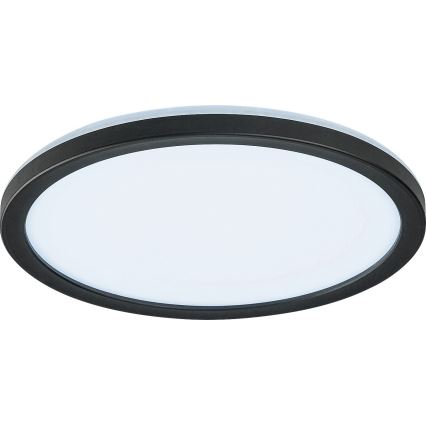 Rabalux - LED Dimbar utomhusbelysning LED/15W/230V Wi-Fi Tuya 2700-6500K IP44 + fjärrkontroll