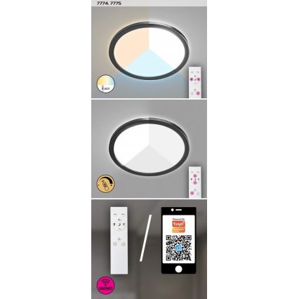 Rabalux - LED Dimbar utomhusbelysning LED/15W/230V Wi-Fi Tuya 2700-6500K IP44 + fjärrkontroll
