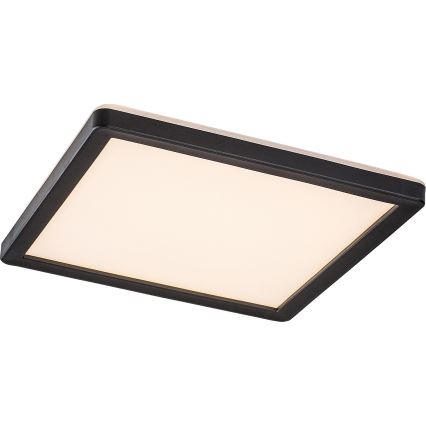 Rabalux - LED  Dimbar utomhusbelysning LED/15W/230V Wi-Fi Tuya 2700-6500K IP44 + fjärrkontroll