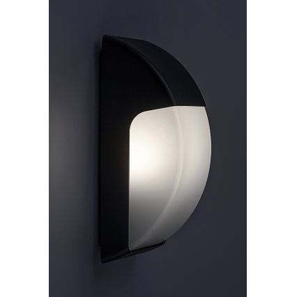 Rabalux - Utomhus vägglampa  1xE27/12W/230V IP65