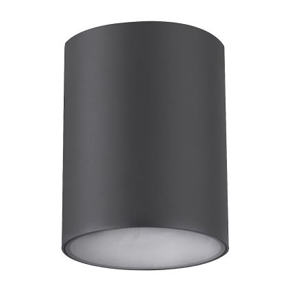 Rabalux - Utomhus spotlight  1xGU10/35W/230V rund  IP54
