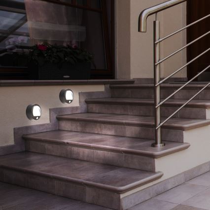 Rabalux 7969 - LED Utomhus Väggbelysning med sensor AMARILLO LED/1,5W/3xAA IP44 svart