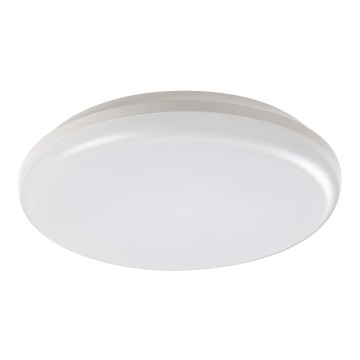Rabalux 7979 - LED Utomhus Takbelysning ERIC LED/24W/230V IP64