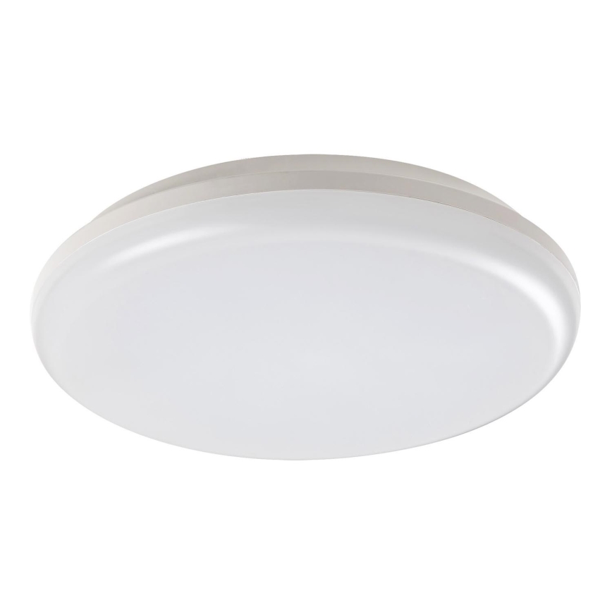 Rabalux 7979 - LED Utomhus Takbelysning ERIC LED/24W/230V IP64