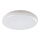 Rabalux 7979 - LED Utomhus Takbelysning ERIC LED/24W/230V IP64