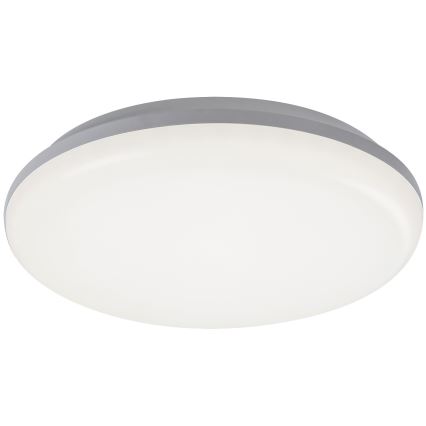 Rabalux 7979 - LED Utomhus Takbelysning ERIC LED/24W/230V IP64