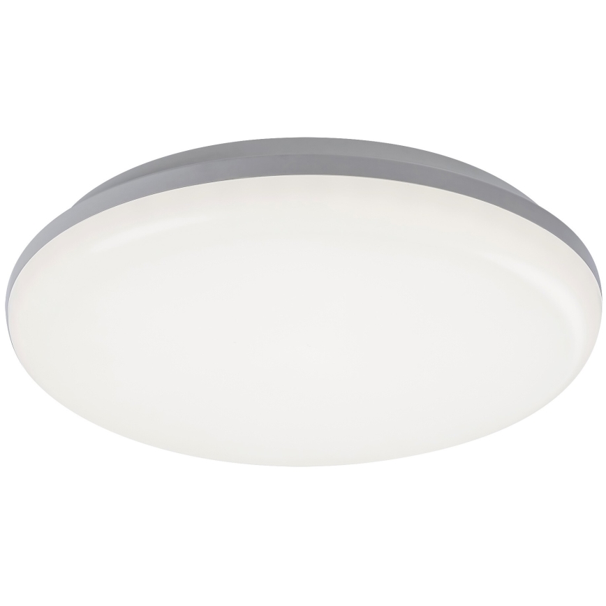 Rabalux 7979 - LED Utomhus Takbelysning ERIC LED/24W/230V IP64